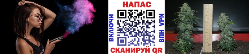 Продажа наркотиков Мамоново ГАШИШ 
