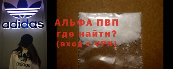 сатива Арсеньев