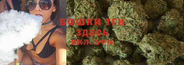 сатива Арсеньев