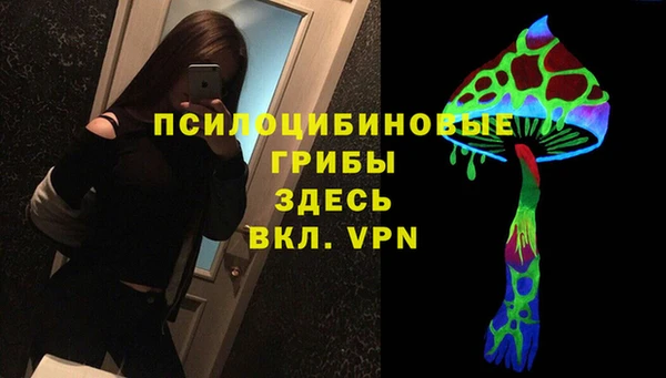 прущий лед Аркадак
